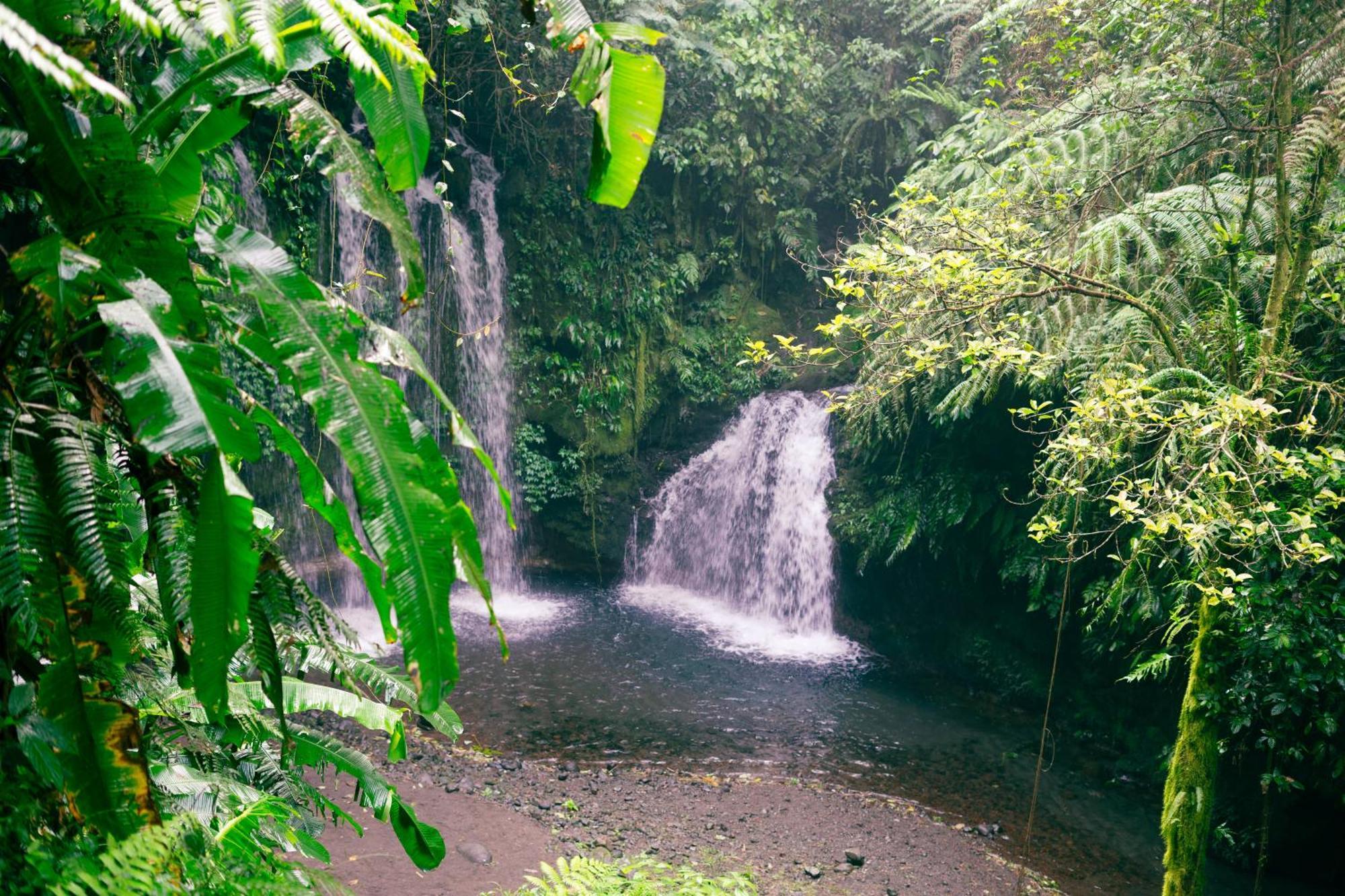 Santya Loka Lodge & Twin Waterfall Jatiluwih Bagian luar foto