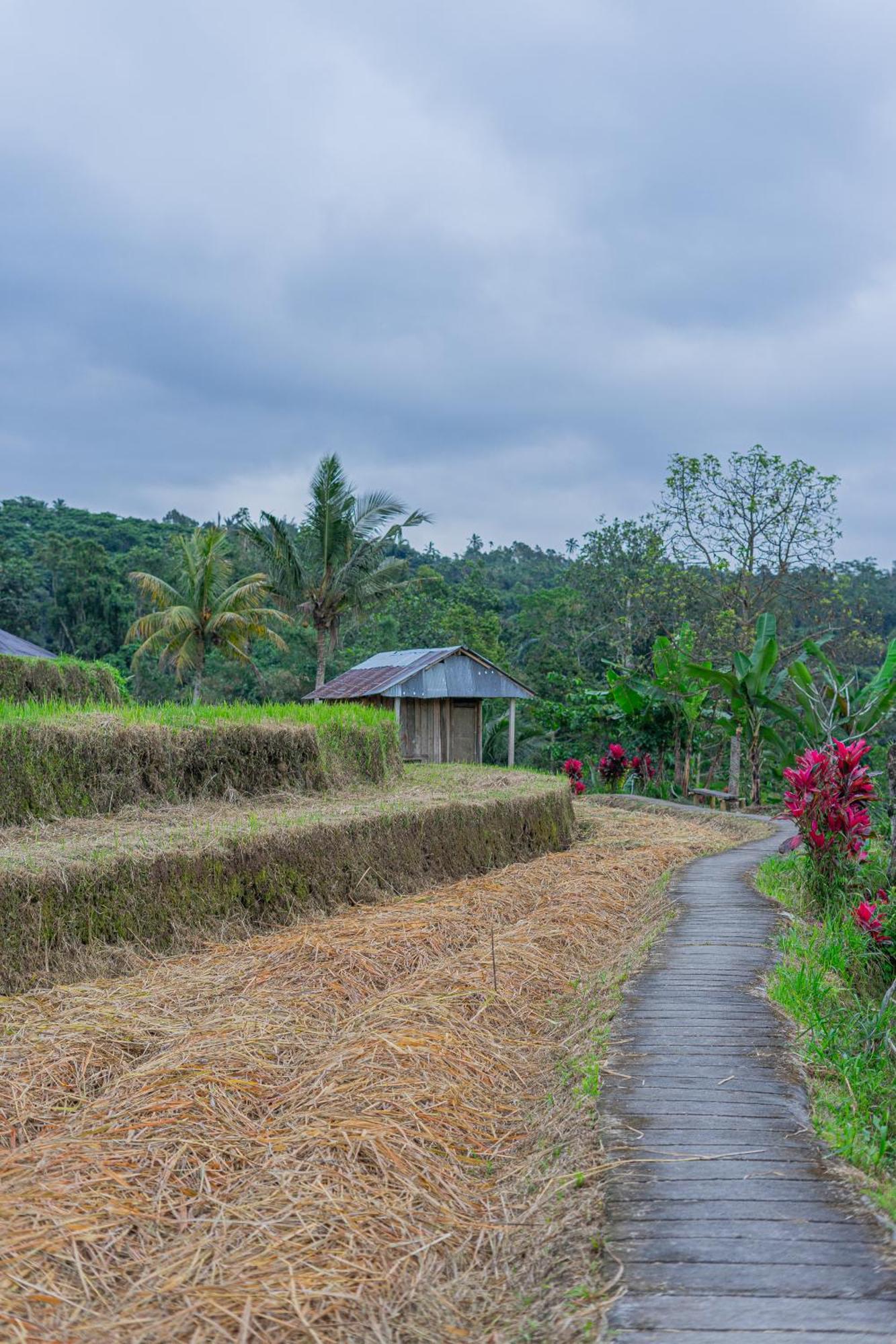 Santya Loka Lodge & Twin Waterfall Jatiluwih Bagian luar foto