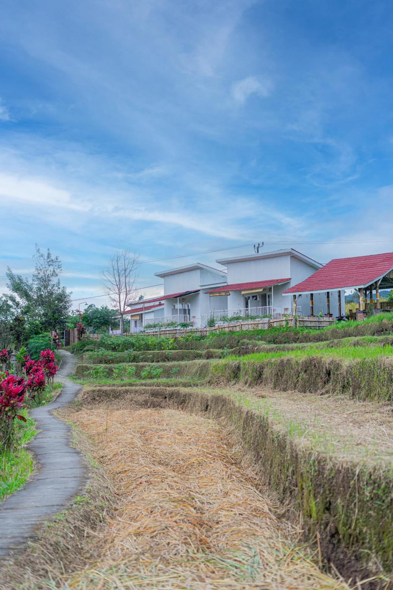 Santya Loka Lodge & Twin Waterfall Jatiluwih Bagian luar foto