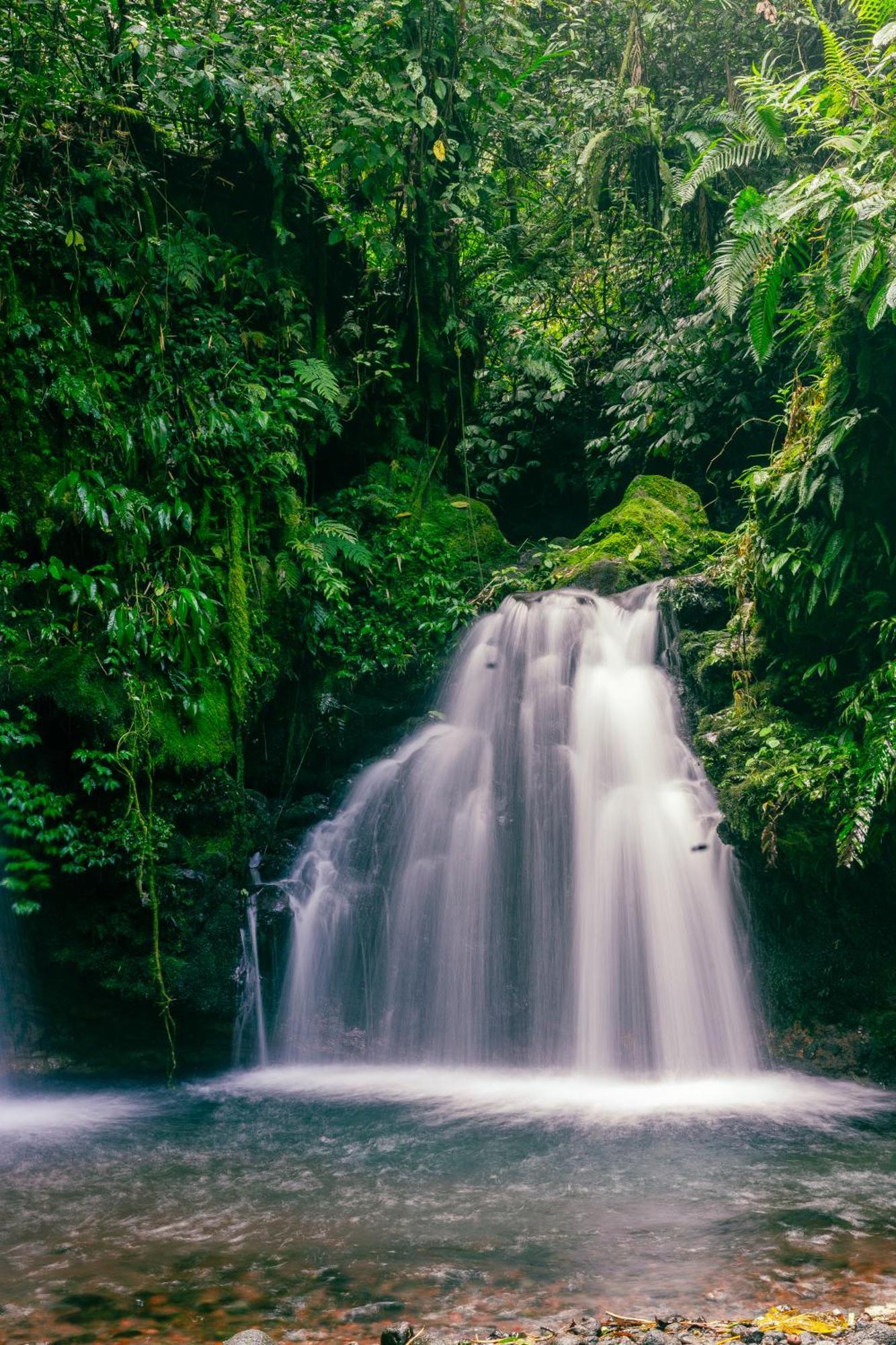 Santya Loka Lodge & Twin Waterfall Jatiluwih Bagian luar foto