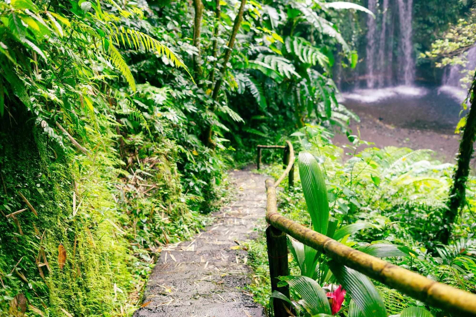 Santya Loka Lodge & Twin Waterfall Jatiluwih Bagian luar foto