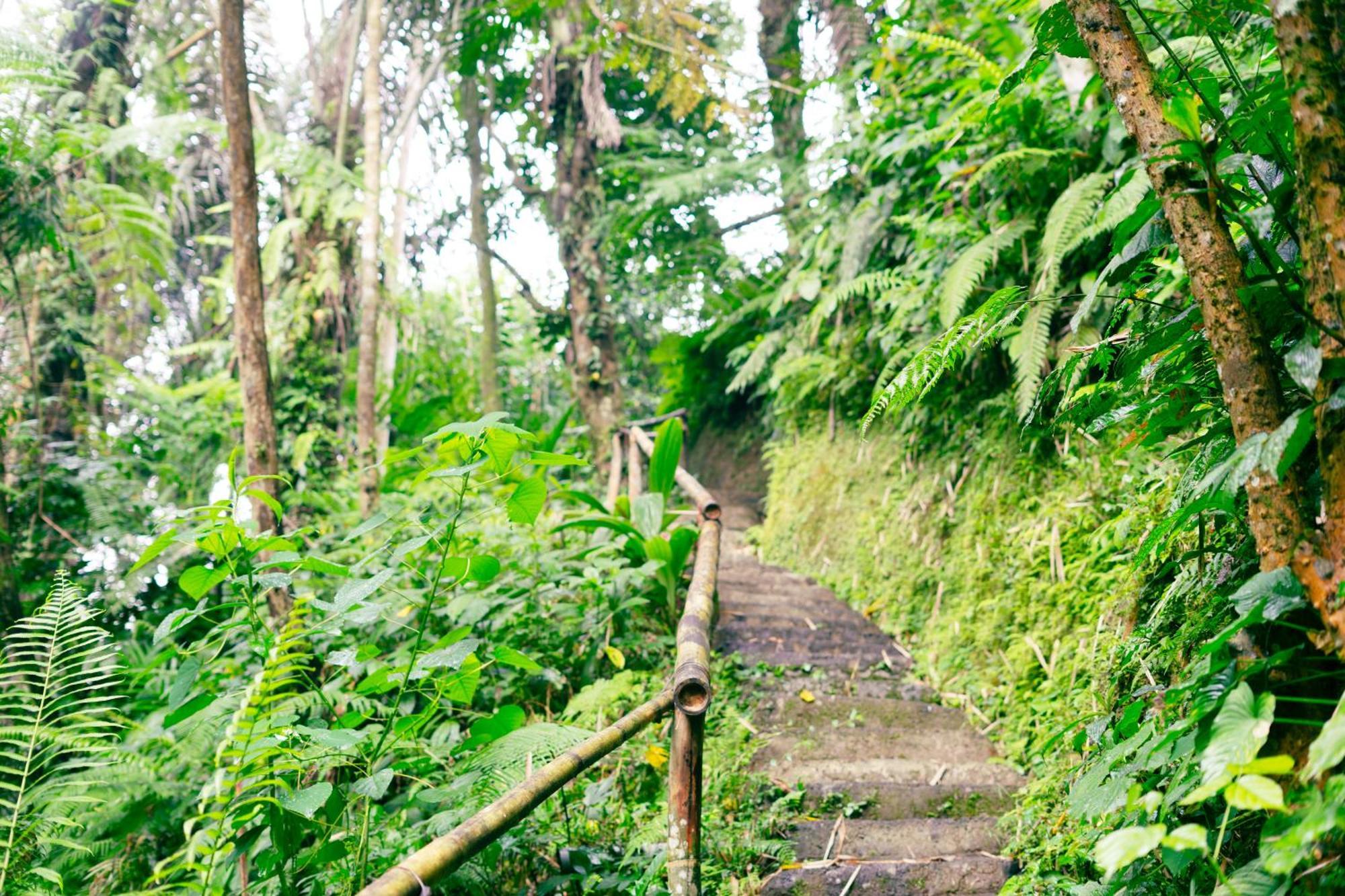 Santya Loka Lodge & Twin Waterfall Jatiluwih Bagian luar foto