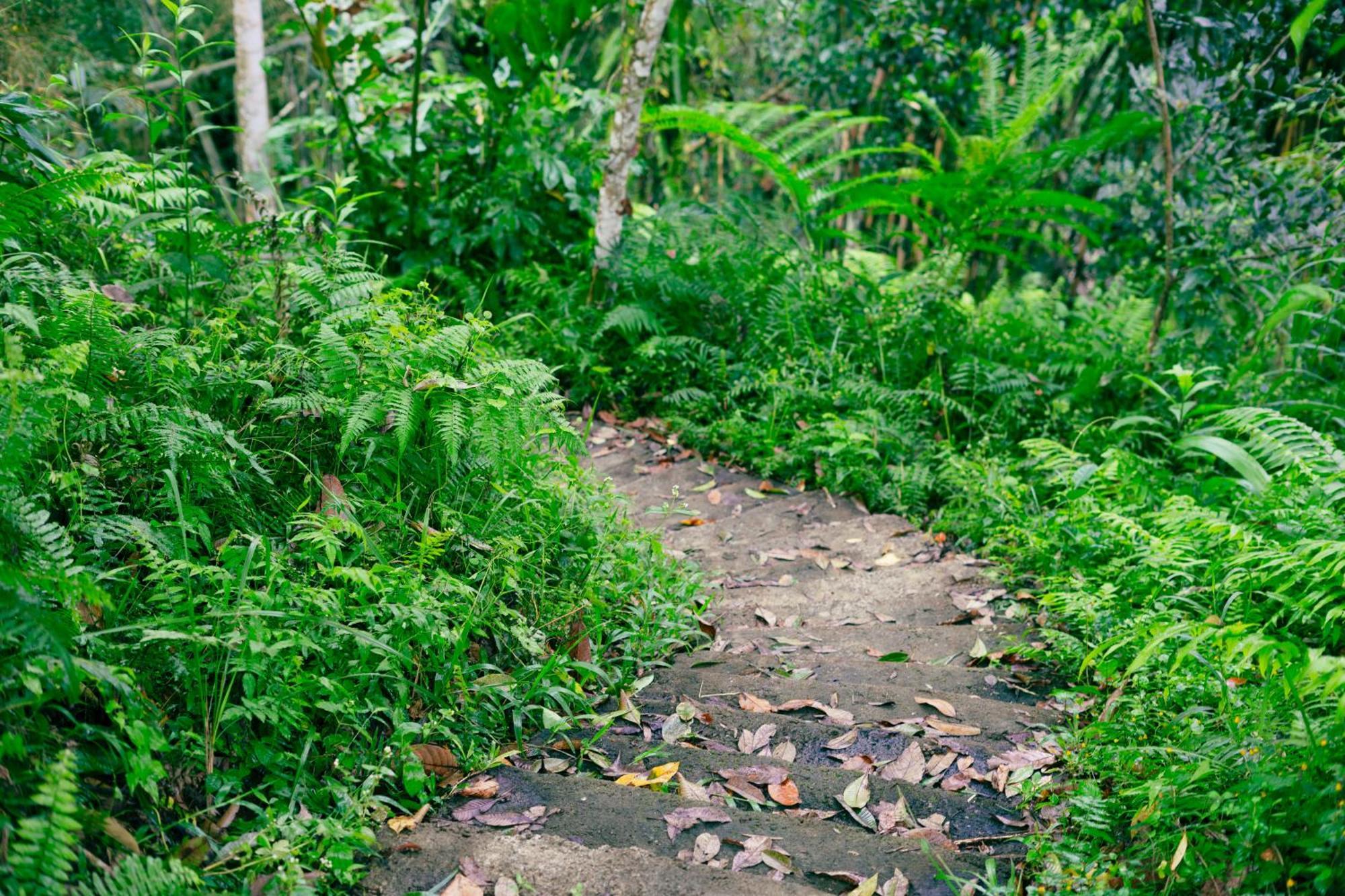 Santya Loka Lodge & Twin Waterfall Jatiluwih Bagian luar foto