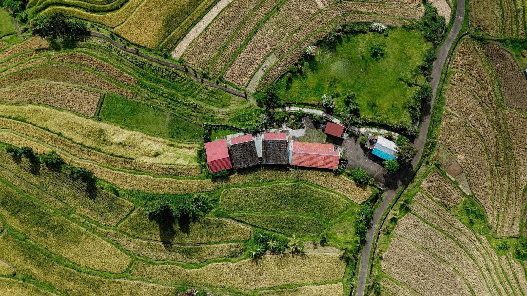 Santya Loka Lodge & Twin Waterfall Jatiluwih Bagian luar foto