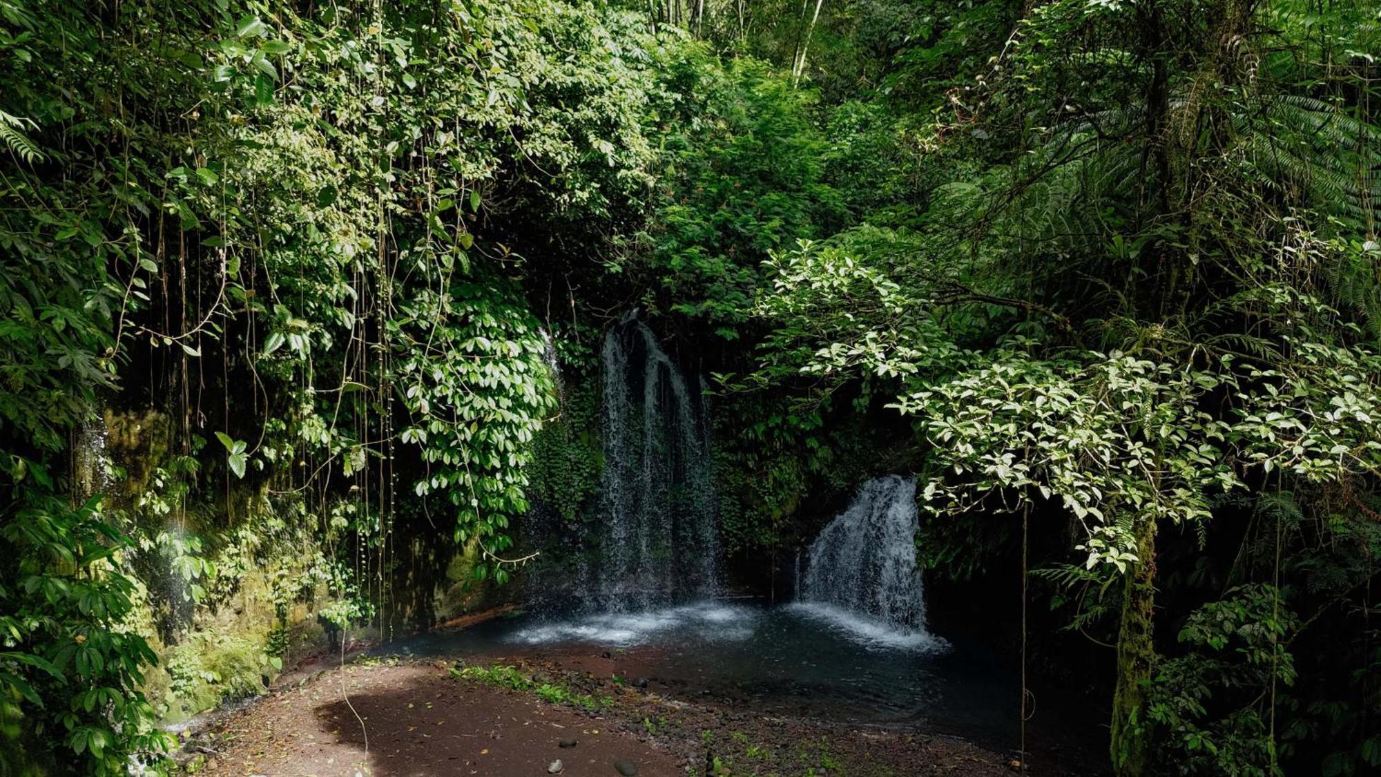 Santya Loka Lodge & Twin Waterfall Jatiluwih Bagian luar foto