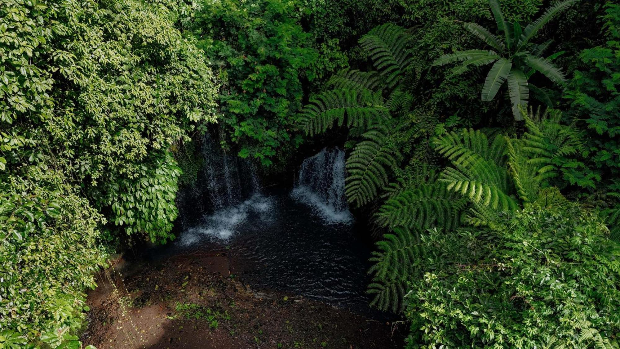 Santya Loka Lodge & Twin Waterfall Jatiluwih Bagian luar foto