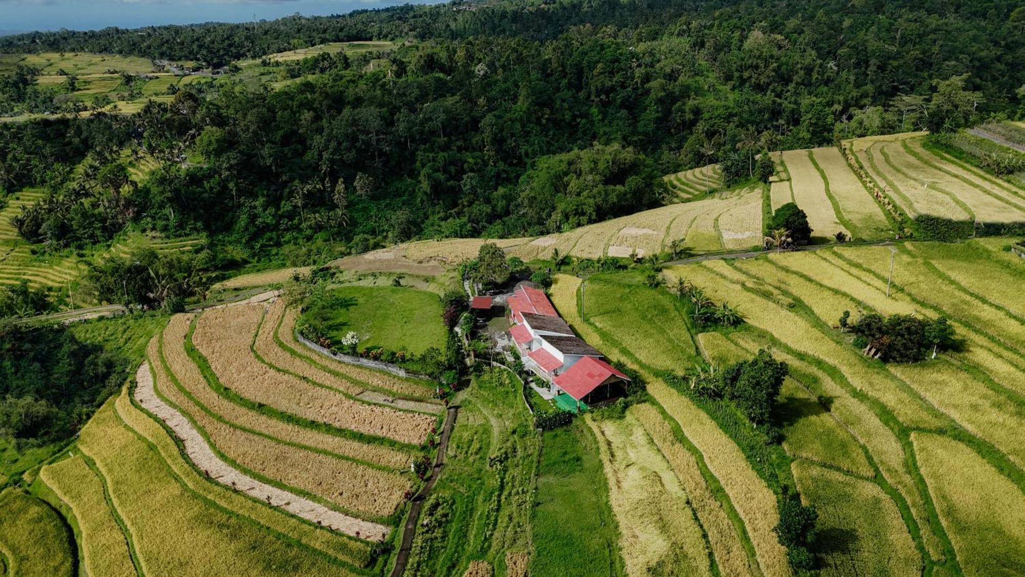 Santya Loka Lodge & Twin Waterfall Jatiluwih Bagian luar foto