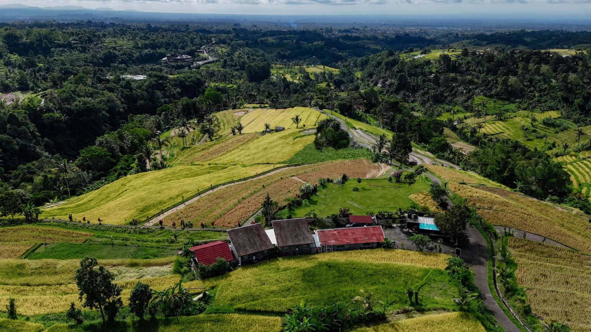 Santya Loka Lodge & Twin Waterfall Jatiluwih Bagian luar foto