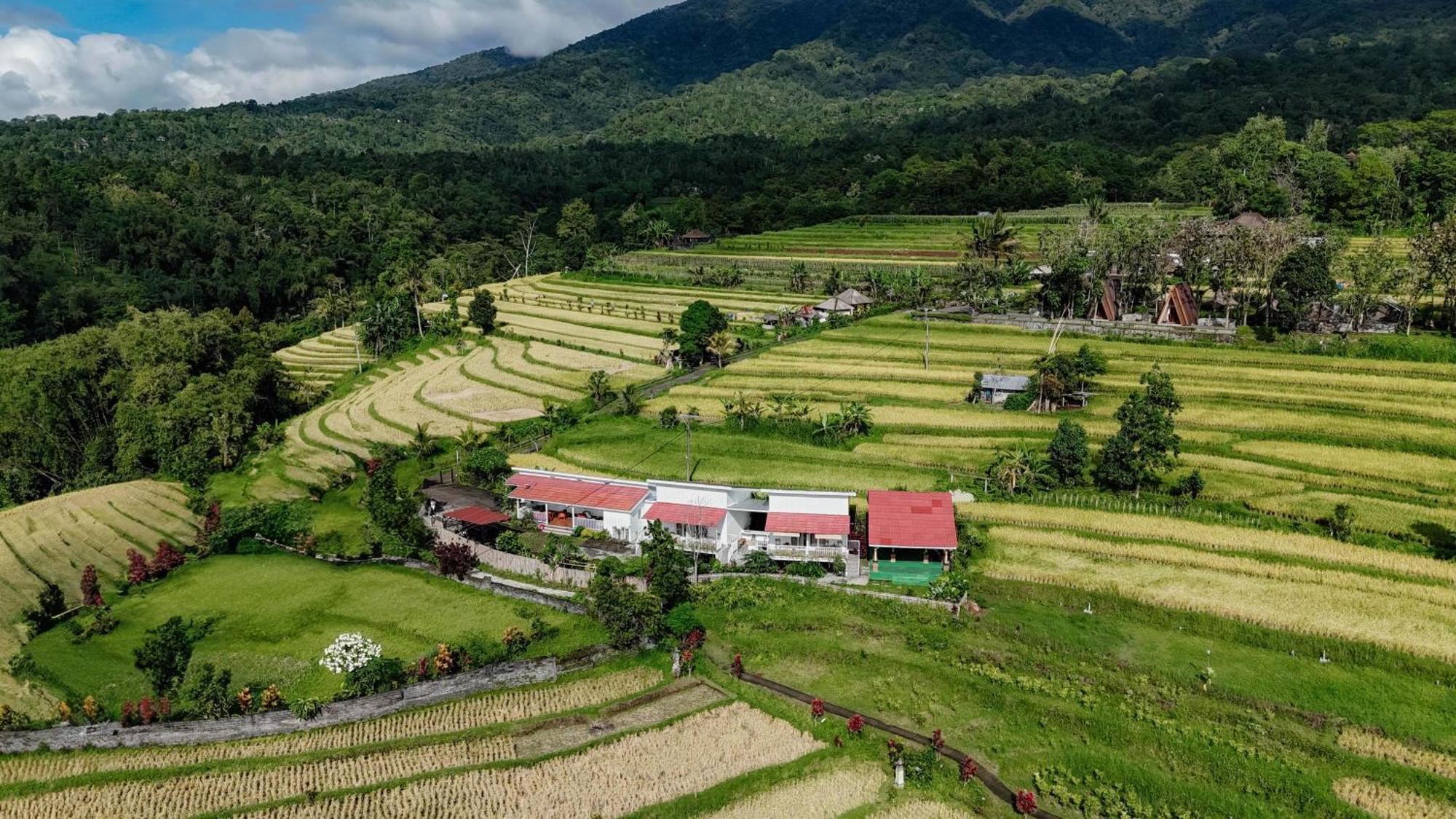Santya Loka Lodge & Twin Waterfall Jatiluwih Bagian luar foto