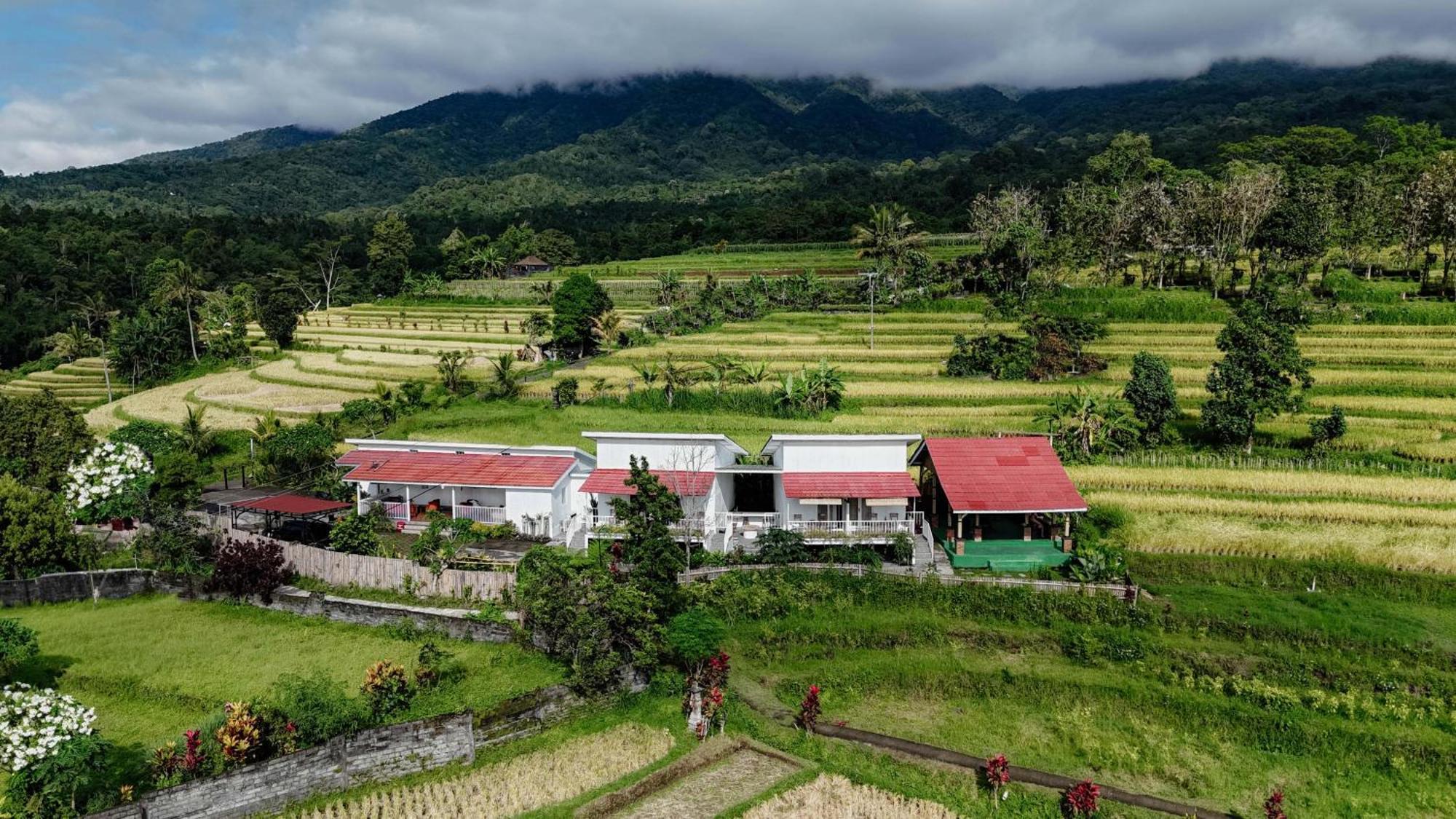 Santya Loka Lodge & Twin Waterfall Jatiluwih Bagian luar foto
