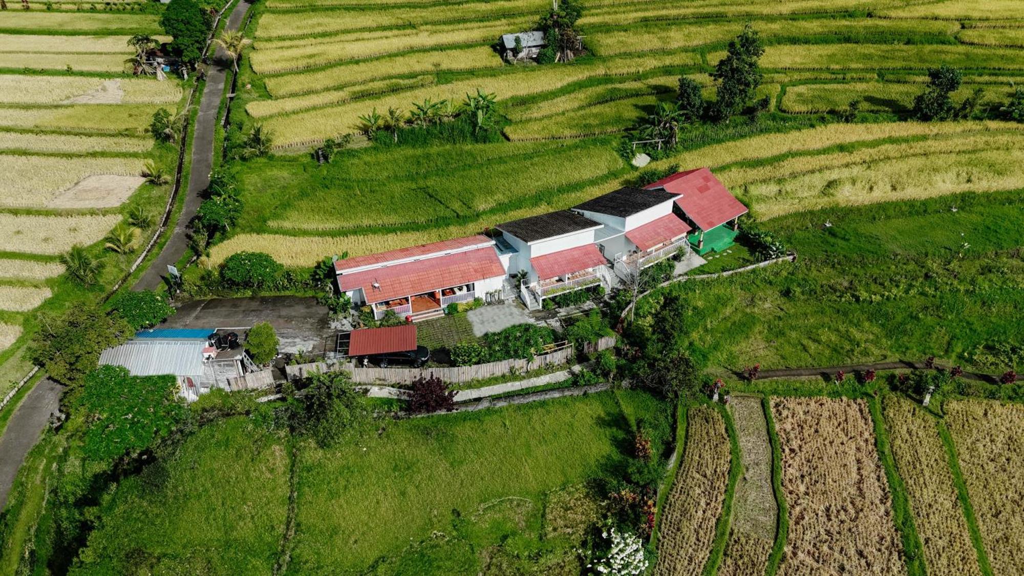 Santya Loka Lodge & Twin Waterfall Jatiluwih Bagian luar foto
