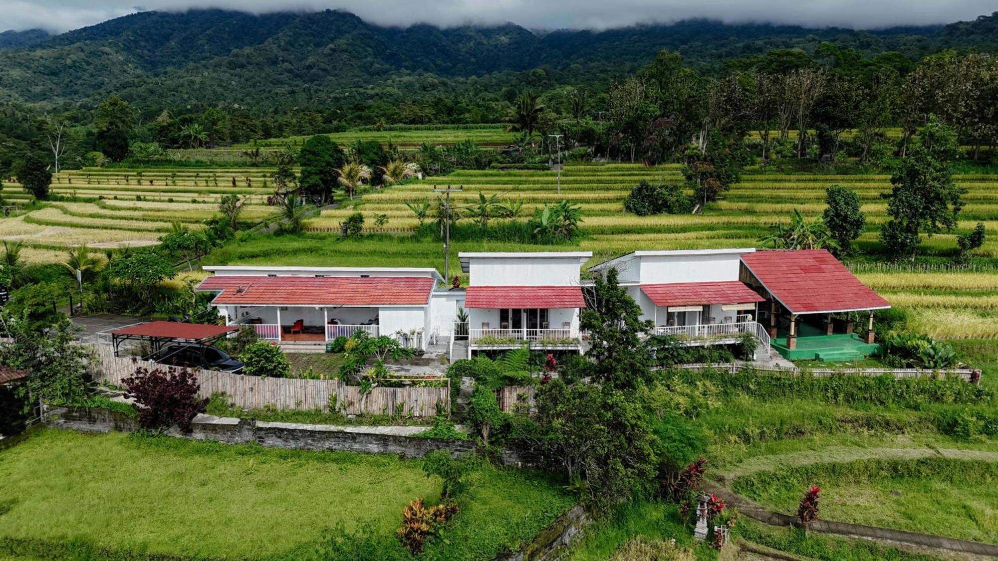 Santya Loka Lodge & Twin Waterfall Jatiluwih Bagian luar foto