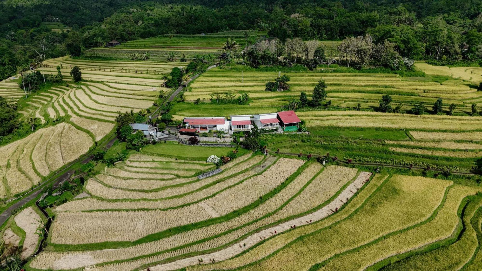 Santya Loka Lodge & Twin Waterfall Jatiluwih Bagian luar foto