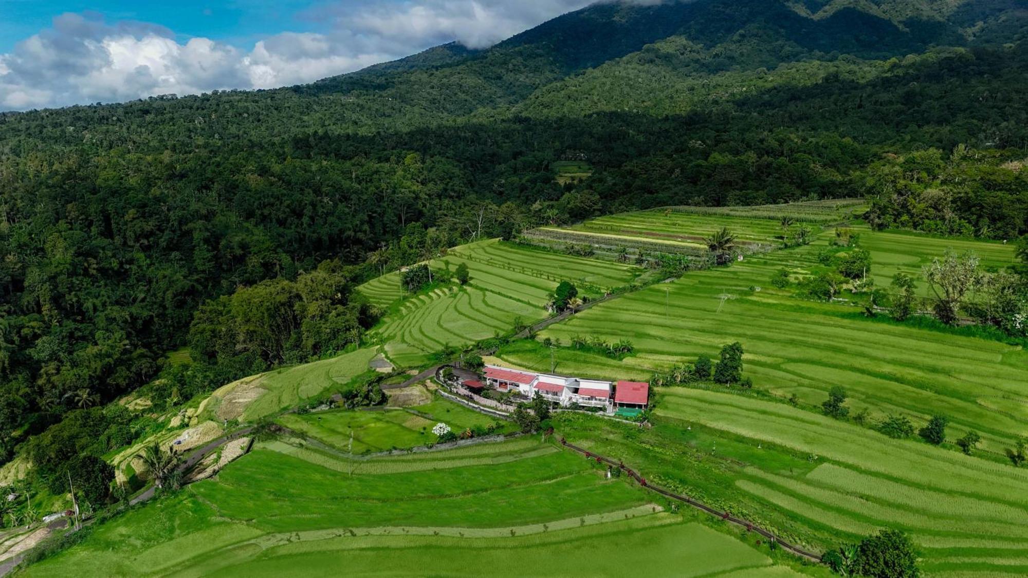 Santya Loka Lodge & Twin Waterfall Jatiluwih Bagian luar foto